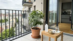 Flecken oder Mehltau am Zitronenbaum? Mit Natron sprühen – aber auf die Dosierung kommt es an